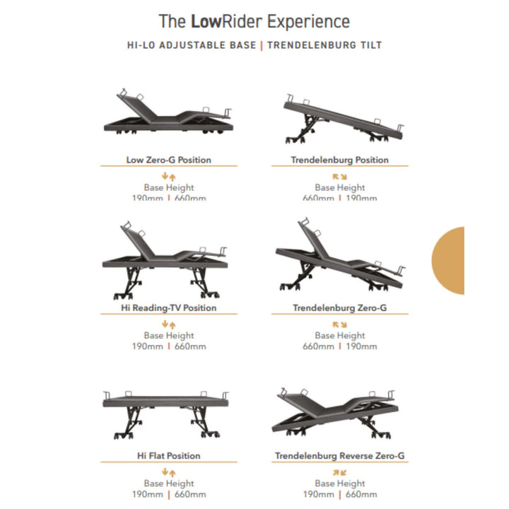 True Motion LowRider  Hi-Lo Adjustable Bed