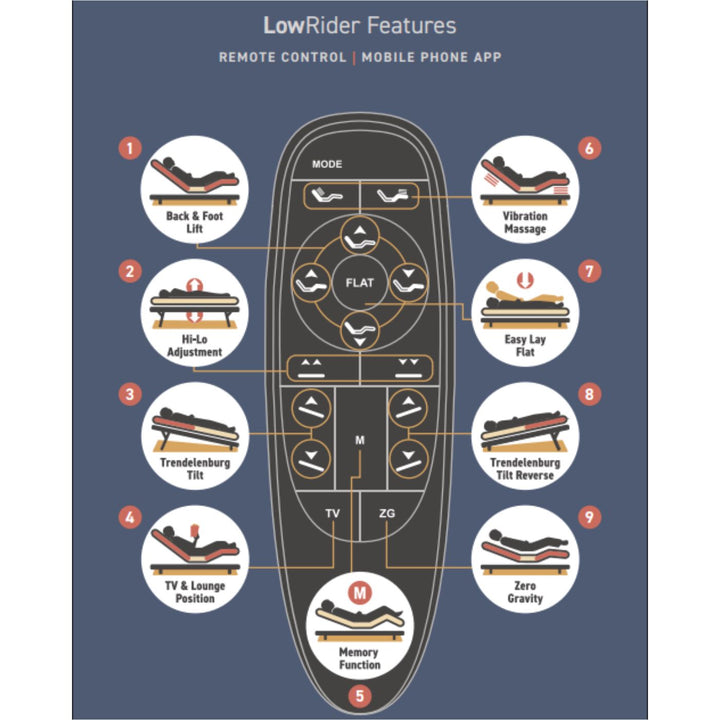 True Motion LowRider  Hi-Lo Adjustable Bed